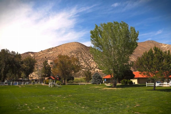 Soledad Canyon Cottage 5 image 16